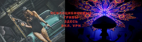 прущие крисы Няндома