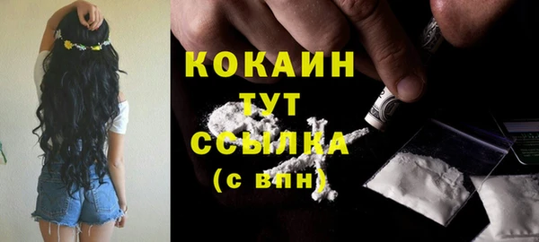 прущие крисы Няндома