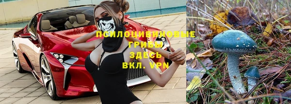 прущие крисы Няндома