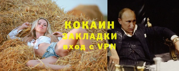 прущие крисы Няндома